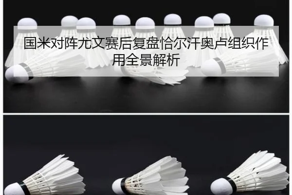 国米对阵尤文赛后复盘恰尔汗奥卢组织作用全景解析